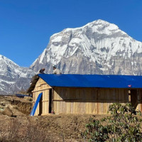 ‘बिपीको समाजवाद र स्थानीय सरकार’ लोकार्पण