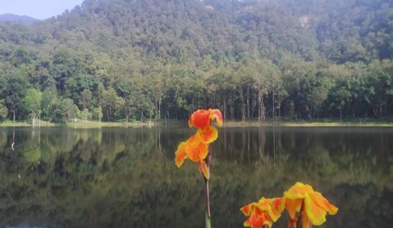 आहा ! आलिताल