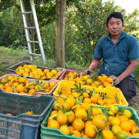 बुद्ध हिमाल हिमालचुली ग्रेट लेक्स सर्किटको नयाँ पदमार्गको विकास