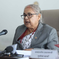 राष्ट्रिय हितमा सबै शक्तिको साझा धारणा आउनुपर्छ : नेत्री राजभण्डारी