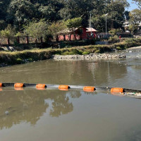 बाघ संरक्षणमा सहअस्तित्वको खाँचो