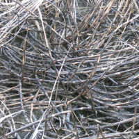 कान्ति लोकपथ मर्मत पश्चात् सुचारु