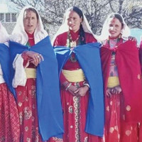 पर्वतमा ७० प्रतिशत बिरामीमा डेंगु सङ्क्रमण