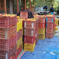 दोब्बर महँगियो दसैँका लागि हवाई टिकट