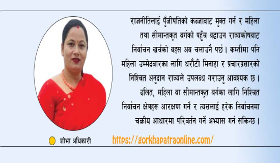 राजनीतिमा महिला प्रतिनिधित्व