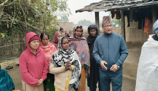 संवैधानिक परिषद्सम्बन्धी विधेयक स्वीकृत