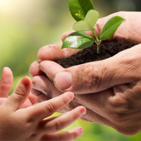 पत्रकारलाई १० लाखको दुर्घटना बिमा