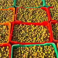 ‘आयोडिनको कमीले आइपर्छ स्वास्थ्यमा यस्तो समस्या’