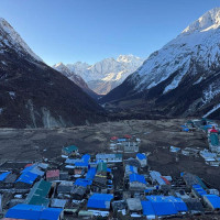 ४२ रोपनीमा अकबरे खुर्सानी