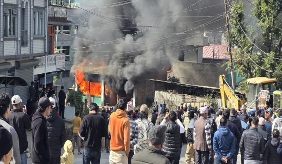 गुल्मी तम्घासको अटो वर्कमा भीषण आगलागी