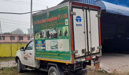 एक हजार ८३ किलो बँदेल र दुम्सीको अवैध मासु बरामद