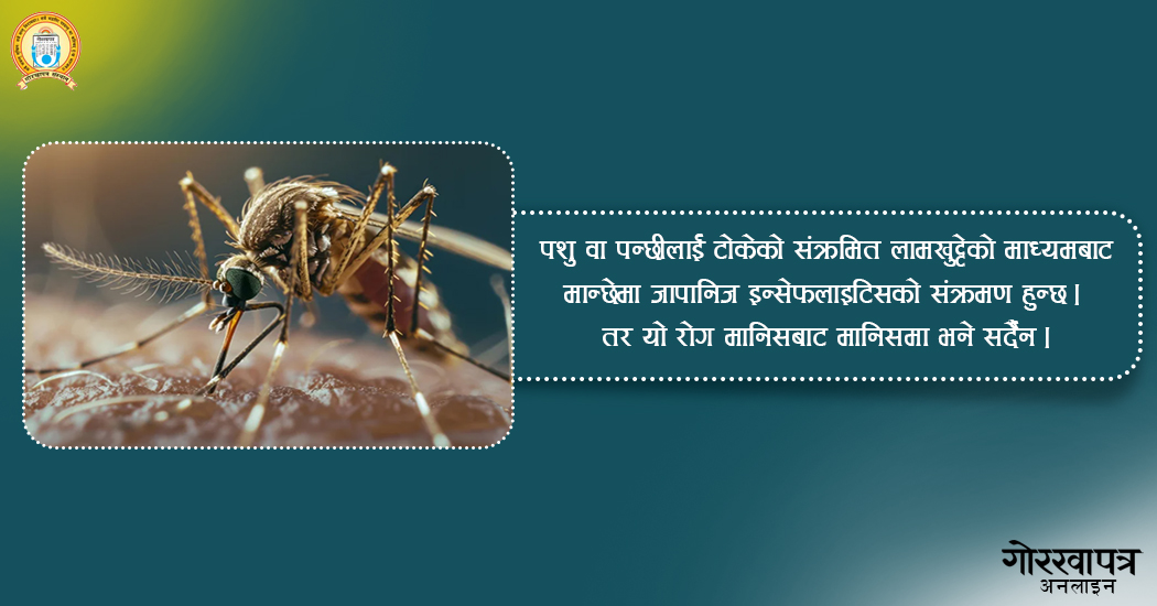 जापानिज इन्सेफलाइटिसबाट मृत्यु हुनेको सङ्ख्या बढ्दै