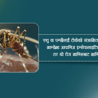 दुई महिना यता विपद्‍मा परी १७३ जनाको मृत्यु