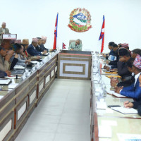 १३ हजार बढी हिंसा पीडितले लिए ओसिएमसीबाट सेवा