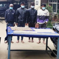 वर्षभरि परिवार धान्न सक्ने आँपको बगैँचा