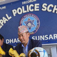 सप्तरीमा रुखबाट लडेर एक वृद्धको मृत्यु