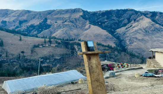 सप्तरीमा रुखबाट लडेर एक वृद्धको मृत्यु