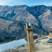 विश्व पोलियो दिवस मनाइयो