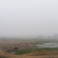 यस्तो छ आजको तरकारी र फलफूलको थोक मूल्य