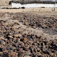 १२० वर्ष अघिको गोर्खापत्र