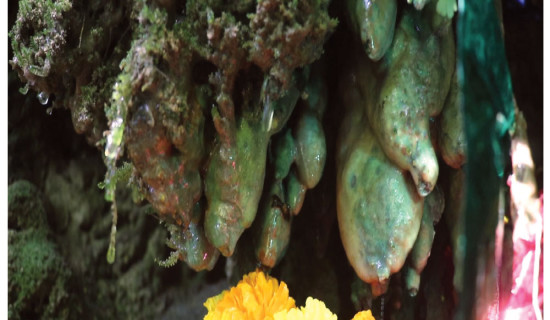 एम्बुलेन्सबाट ब्राउन सुगर बरामद