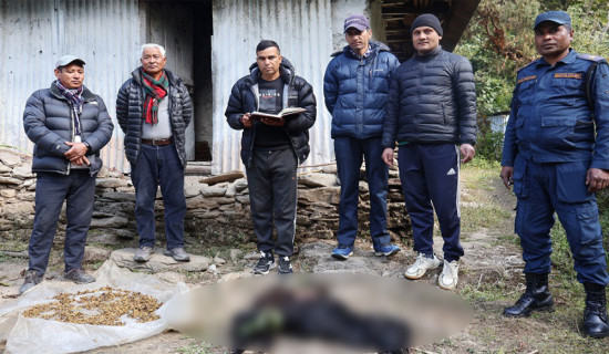 सौर्य मिनी ग्रिड सञ्चालन