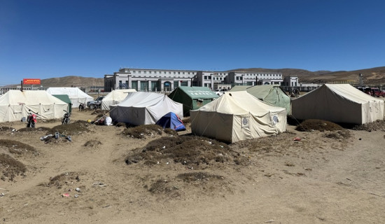 चैते धान रोप्न कृषकलाई चटारो