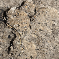 कोशी, बागमती, गण्डकी र लुम्बिनी प्रदेशमा भारी वर्षा हुने