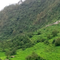 समृद्धिको जग शिक्षा