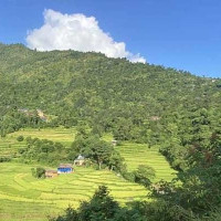 पालिकास्तरीय चित्रकला कार्यशाला सम्पन्न