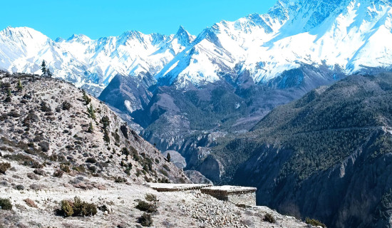 पालिकास्तरीय चित्रकला कार्यशाला सम्पन्न