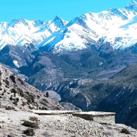 निकुञ्जले उठायो एक वर्षमा ३६ करोड राजस्व