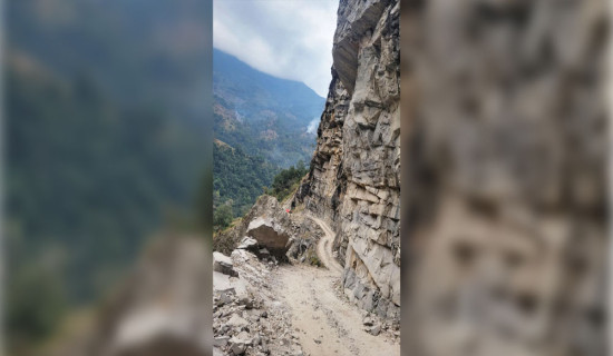 जापनिज इन्सेफ्लाइटिसबाट महिलाको मृत्यु