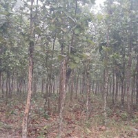 लैङ्गिकमैत्री योजना तथा बजेटबारे जनप्रतिनिधिलाई जानकारी