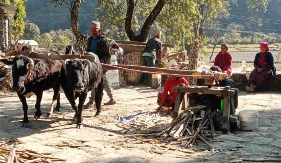कांग्रेस क्रियाशील सदस्यता : महामन्त्री थापाको चार बुँदे निर्देशन