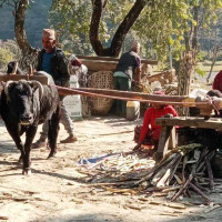 चर्चा कमाउनका लागि मात्रै निर्णय नगरौँ : अध्यक्ष ढकाल