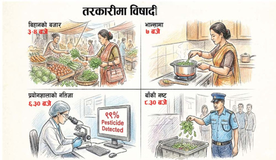 हरियो तरकारीमा शतप्रतिशतसम्म विषादी