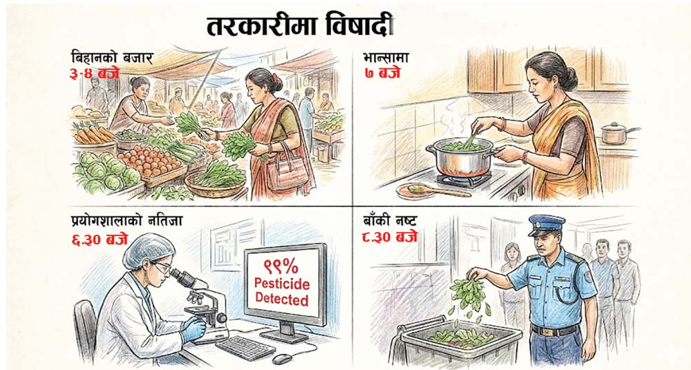 हरियो तरकारीमा शतप्रतिशतसम्म विषादी