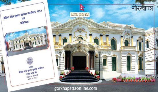 नेपाललाई ग्रे लिस्टबाट हटाउन अग्रणी भूमिका निर्वाह गर्न राष्ट्र बैङ्कलाई सुझाव