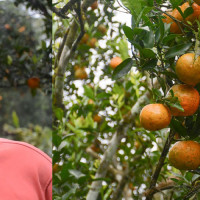 भागेका कैदीलाई सम्पर्कमा आउन प्रहरीको अनुरोध