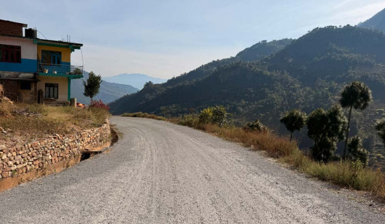 जैमिनीबासीको गुनासो : बाँदर आतङ्क रोकिएन, समयमै मल पाएनौं