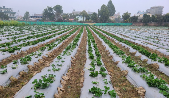 तालतलैयाको संरक्षण