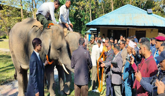 वन्यजन्तु उपहार संरक्षणमा चुनौती