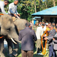 तालतलैयाको संरक्षण