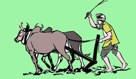 प्रसूति हिंसा र मानवअधिकार संरक्षण गर्ने कानुन निर्माणमा जोड