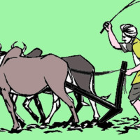 संविधानमा टेकेर अघि बढ्न महामन्त्री थापाको आग्रह