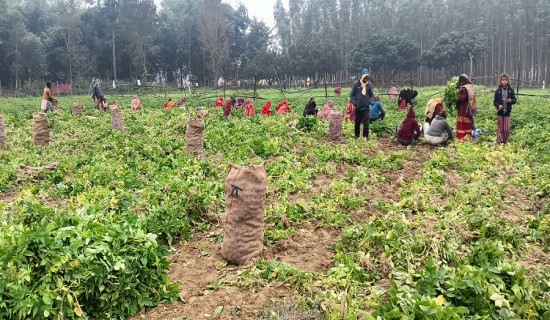 ऊर्जामन्त्री खड्काद्वारा ढल्केवर सबस्टेसनको निरीक्षण