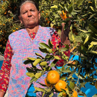 प्रदेश सभाको बैठक सूचना प्रविधि कक्षमा