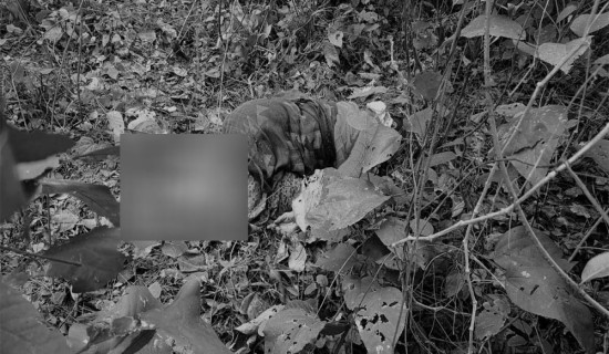 चितुवाको आक्रमणबाट महिलाको मृत्यु