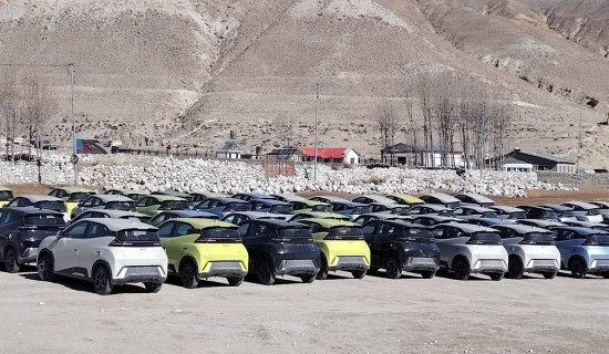 धमाधम भित्रिदैंछन् विद्युतीय सवारी साधन